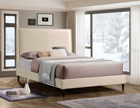 IF-5572 Bed